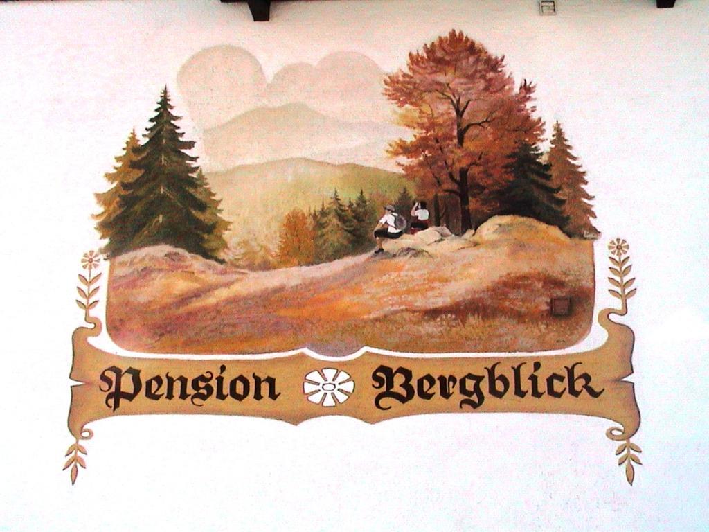 Pension Bergblick Bayerisch Eisenstein Ngoại thất bức ảnh